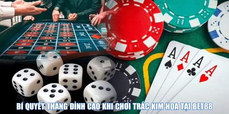 Bí quyết thắng đỉnh cao khi chơi Trắc kim hoa tại BET88