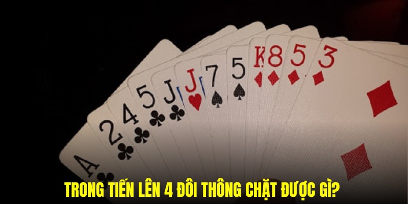 Các giải pháp về 4 đôi thông chặt được các dạng nào trong tiếng lên