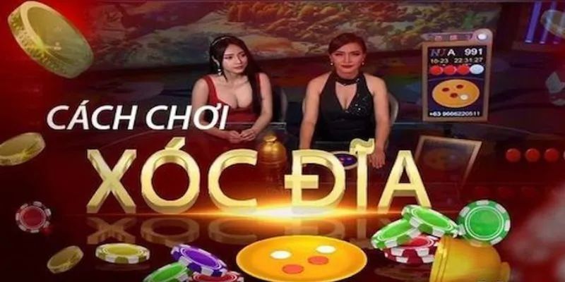 Chia sẻ cách chọn cửa xóc đĩa chuẩn xác cho người mới