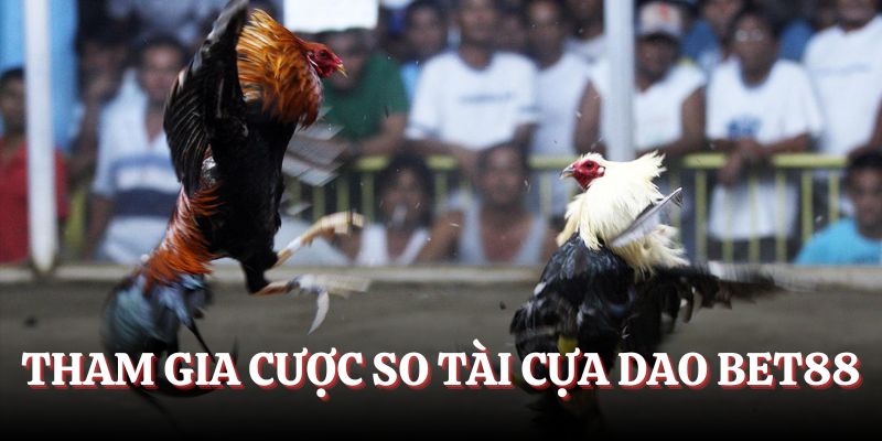 Hướng dẫn tham gia cược so tài cựa dao BET88