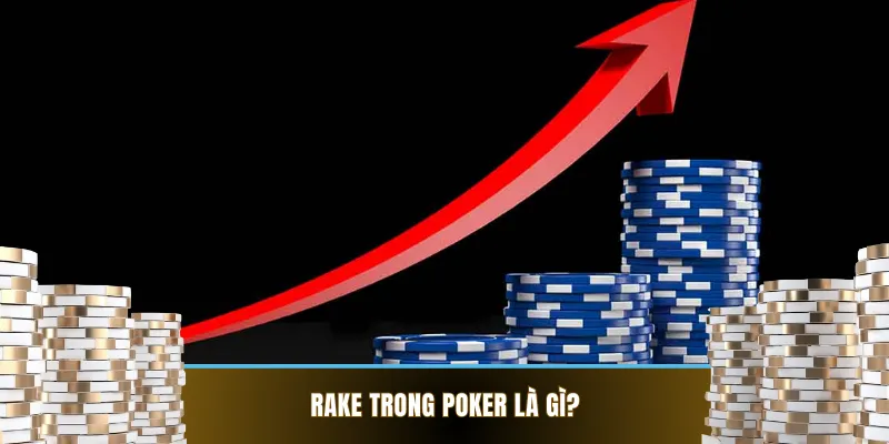 Tìm hiểu chi tiết về Rake trong poker