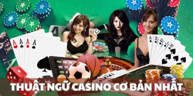 Những thuật ngữ thường dùng nhất hiện nay